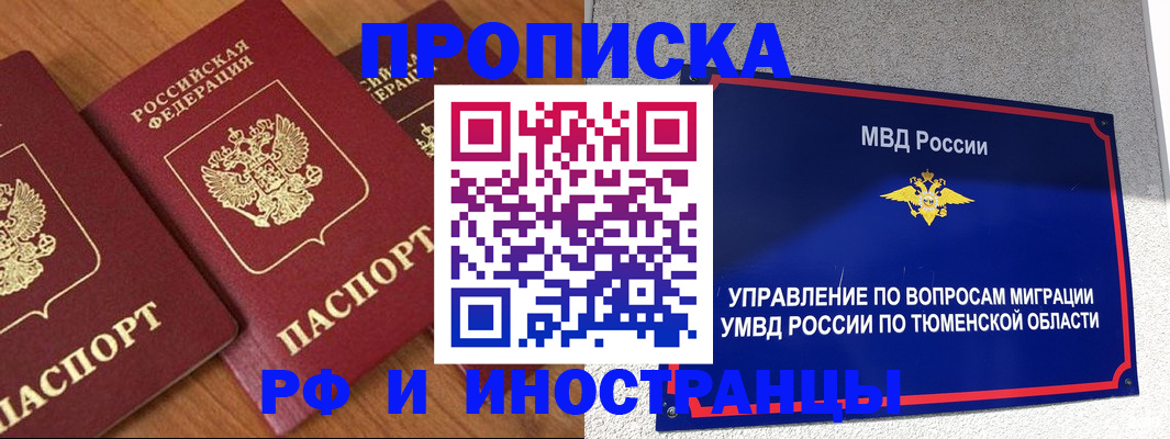 прописка поиск в Апатитах